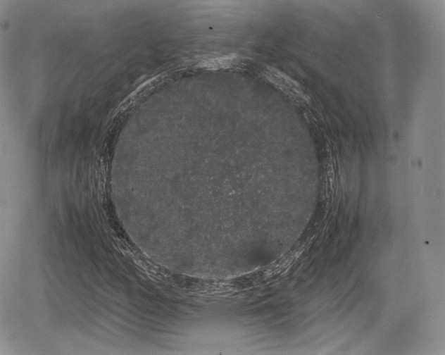 X0000067871158200604171217