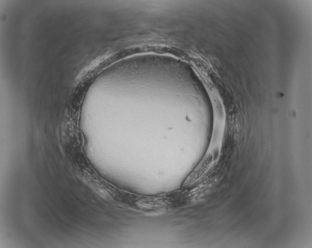 X0000067871159200604171217