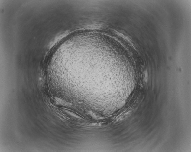 X0000067871160200604171217