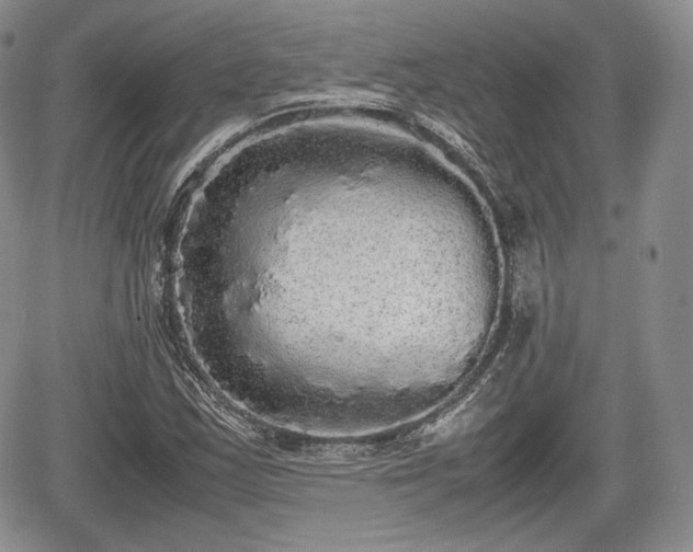 X0000067871163200604171217