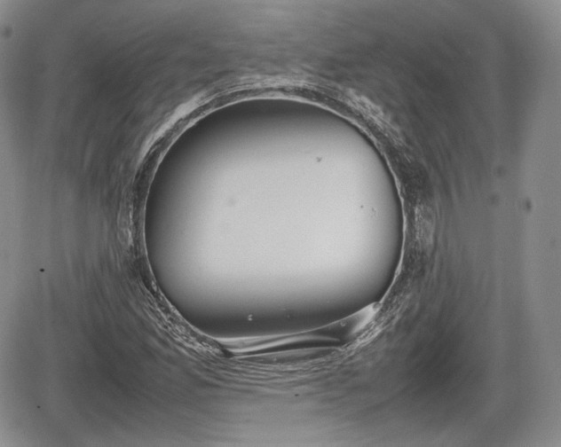 X0000067871165200604171217