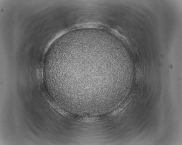 X0000067871166200604171217