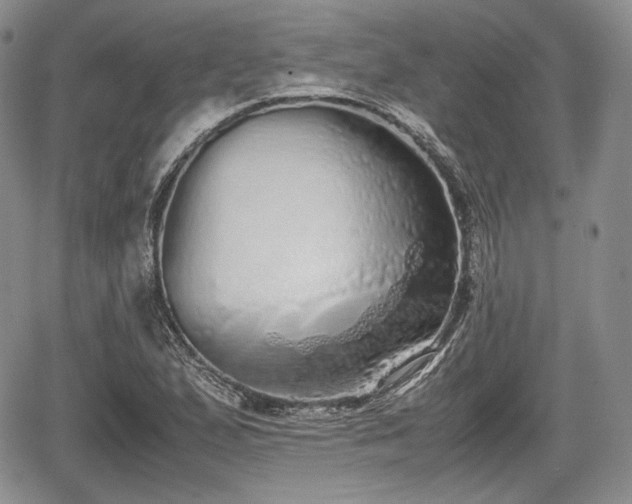 X0000067871167200604171217