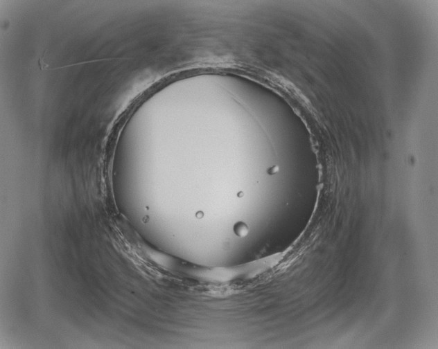 X0000067871168200604171217