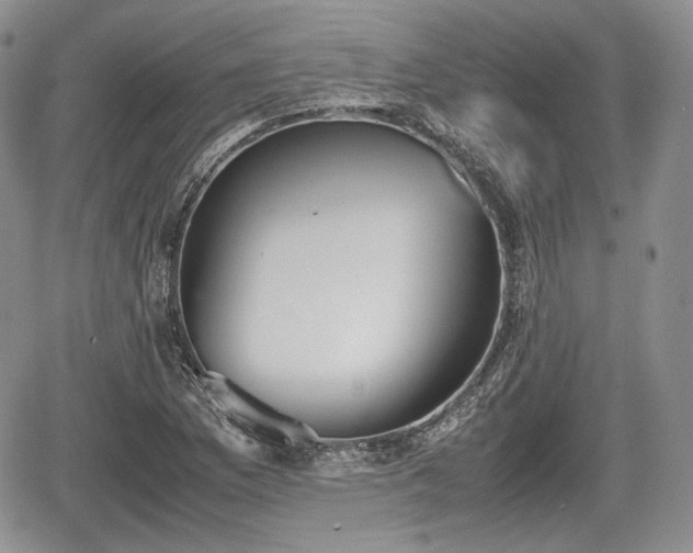 X0000067871169200604171217