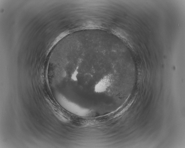 X0000067871170200604171217