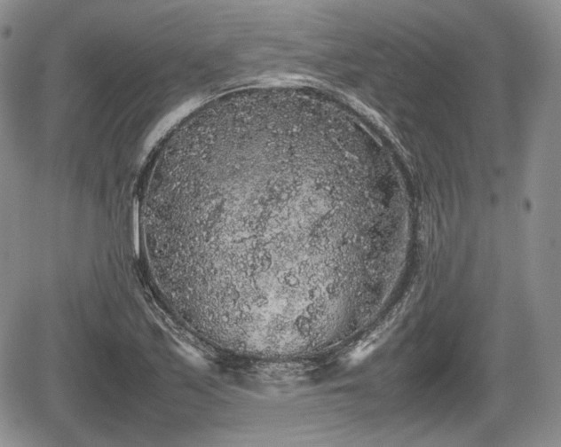 X0000067871171200604171217