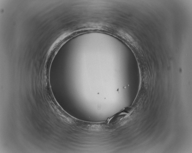 X0000067871172200604171217