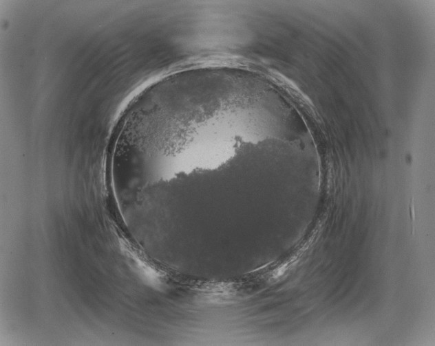 X0000067871174200604171216