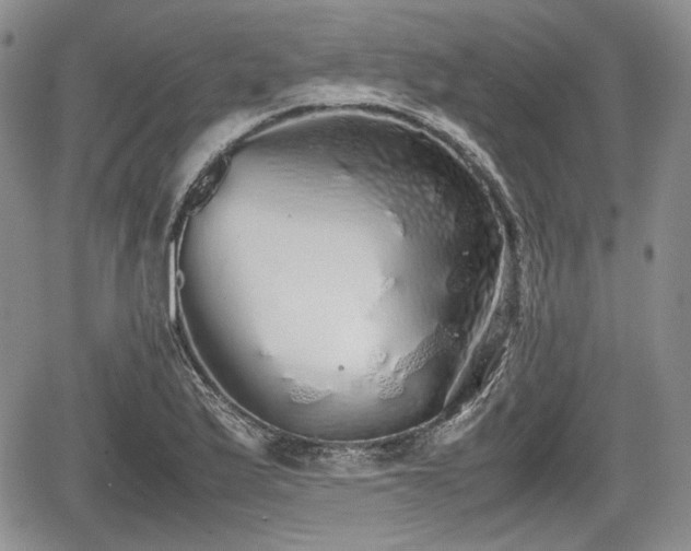 X0000067871175200604171216