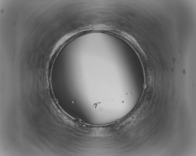 X0000067871176200604171216