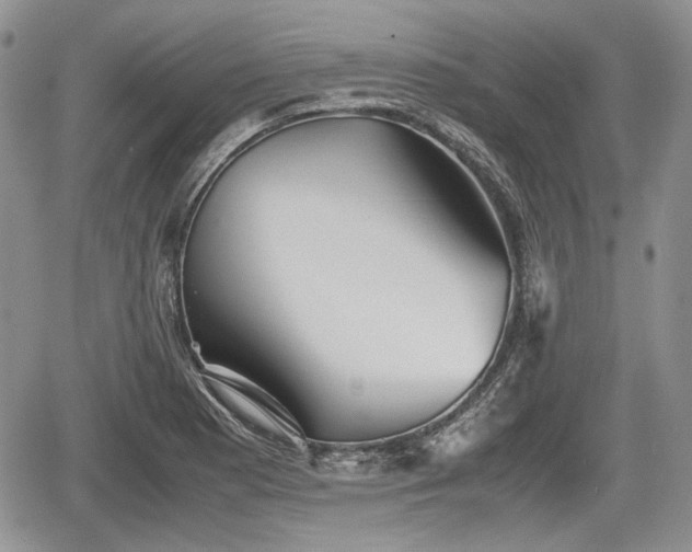 X0000067871177200604171216