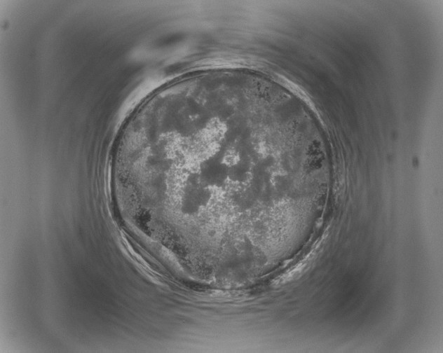 X0000067871179200604171216