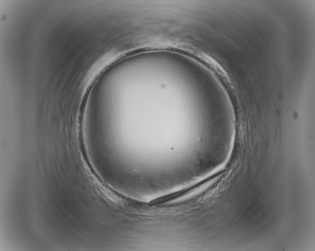 X0000067871183200604171216