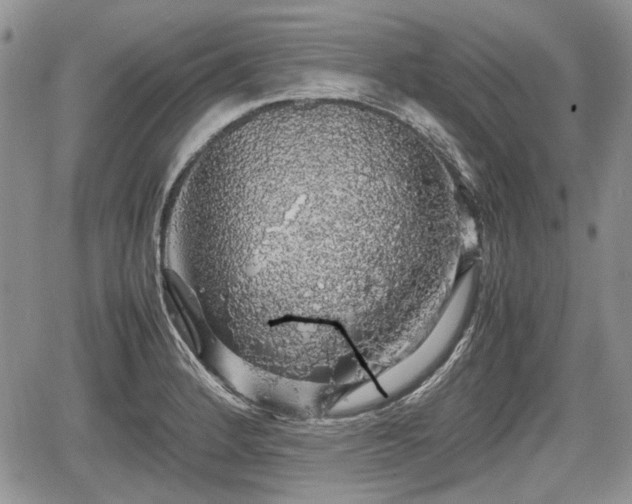 X0000067871184200604171216