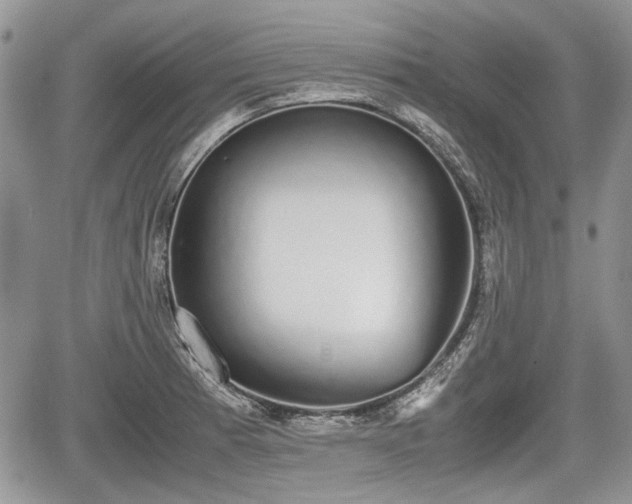 X0000067871185200604171216