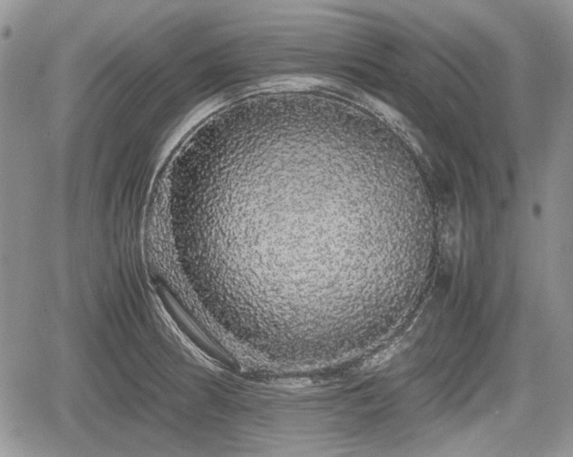 X0000067871186200604171216