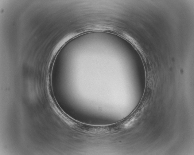 X0000067871187200604171216