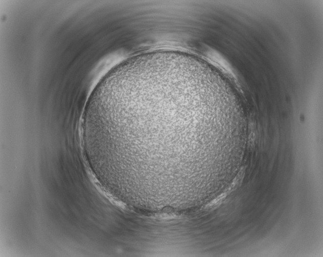 X0000067871190200604171216