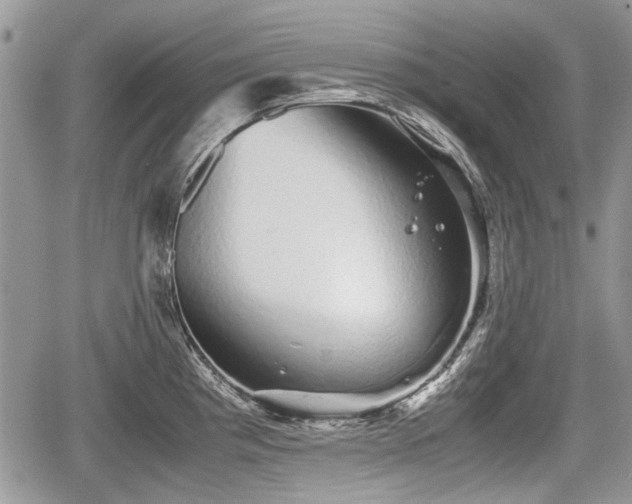 X0000067871193200604171216