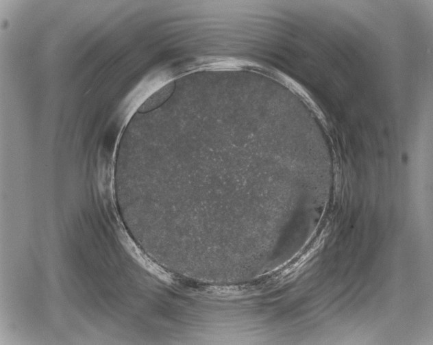 X0000067871194200604171216