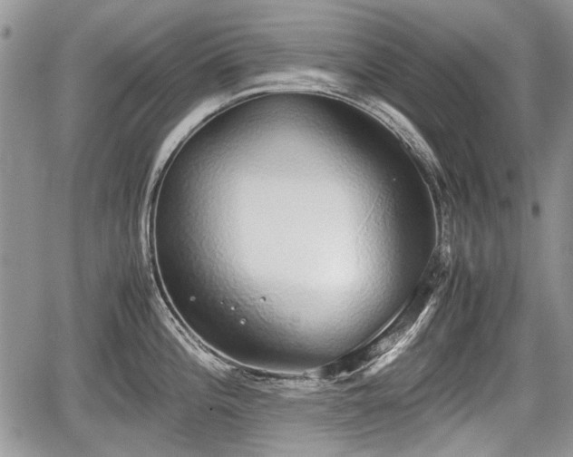 X0000067871196200604171216