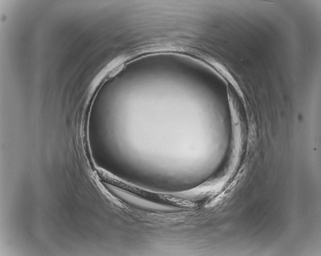 X0000067871197200604171216