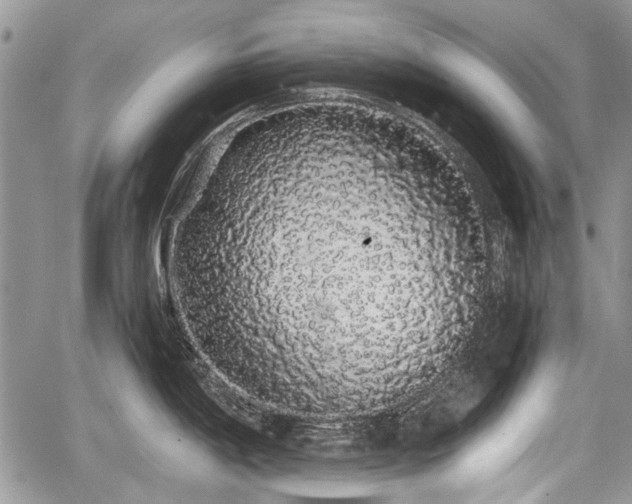 X0000067871198200604171216