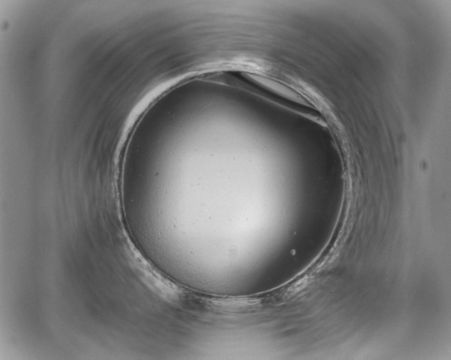 X0000067871200200604171216