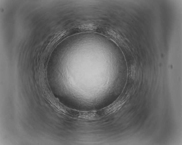 X0000067871201200604171215