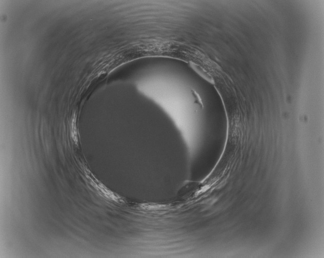 X0000067871202200604171215