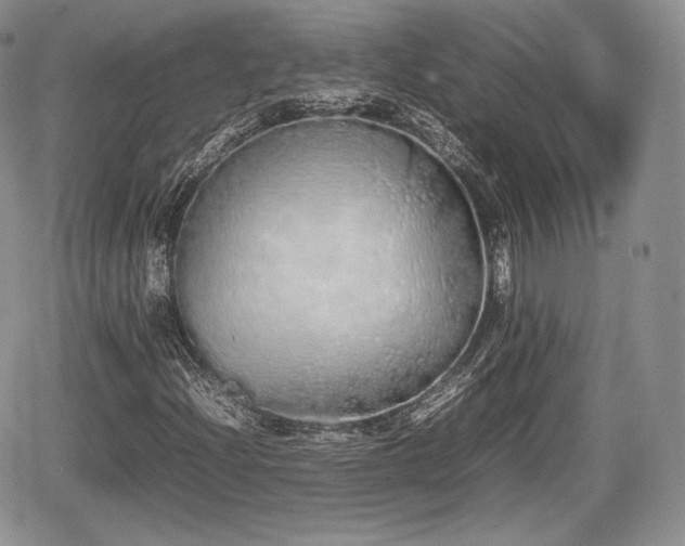 X0000067871204200604171215