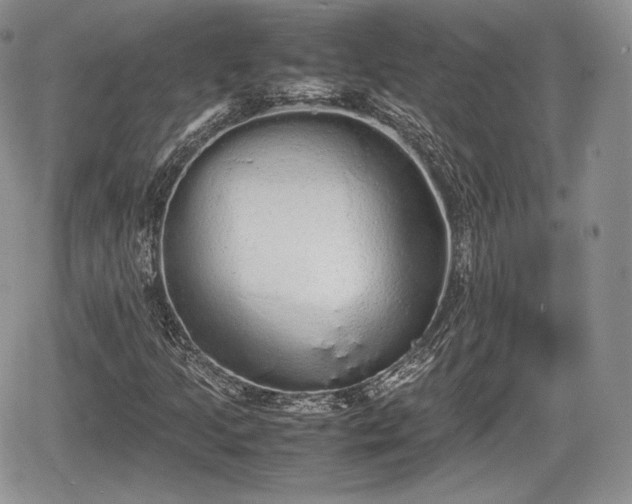 X0000067871205200604171215