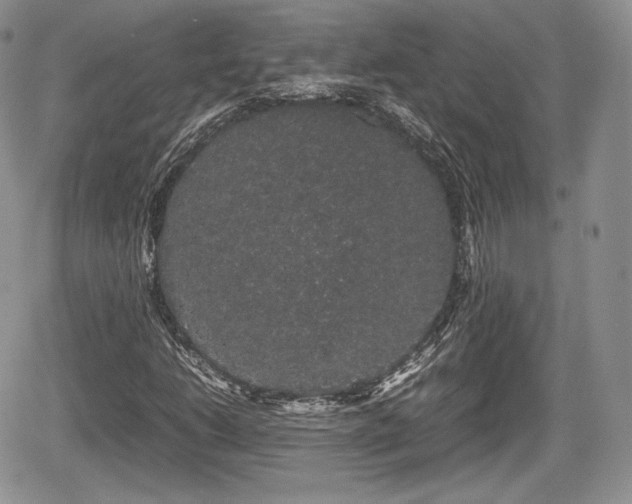 X0000067871206200604171215