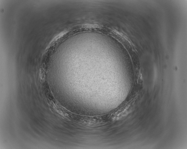 X0000067871207200604171215