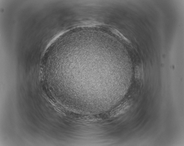 X0000067871208200604171215