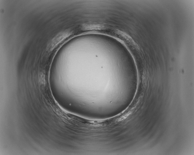 X0000067871209200604171215