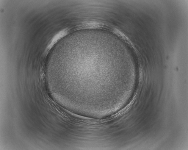 X0000067871210200604171215