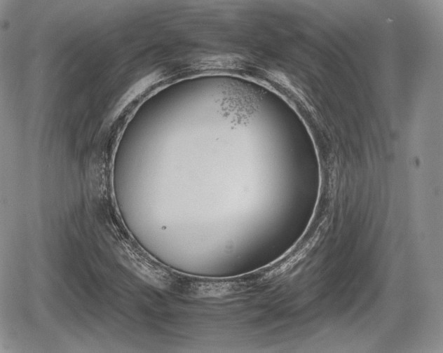 X0000067871211200604171215