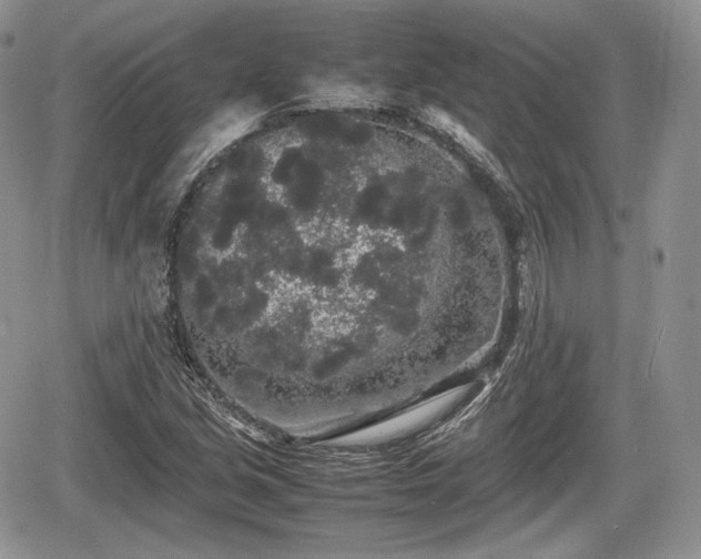 X0000067871213200604171215