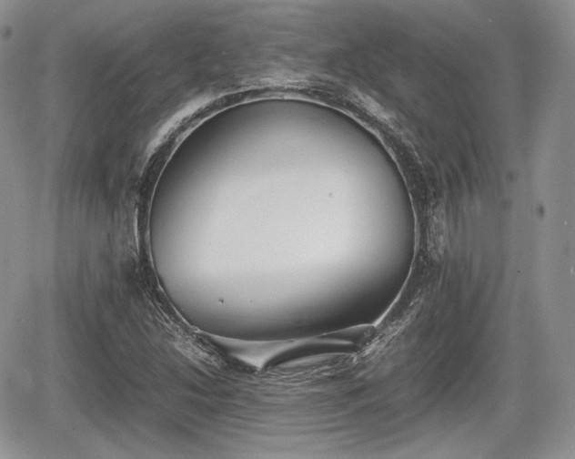 X0000067871214200604171215