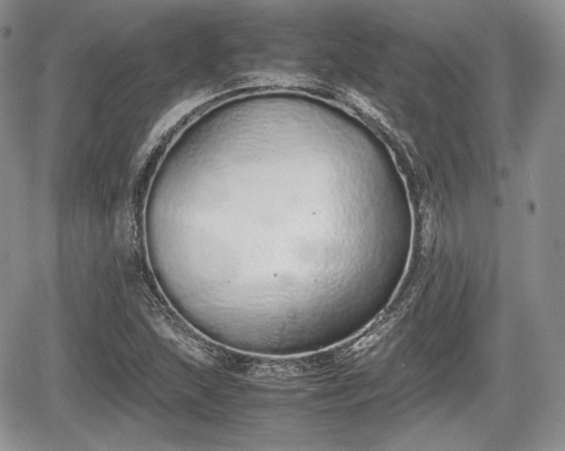 X0000067871215200604171215