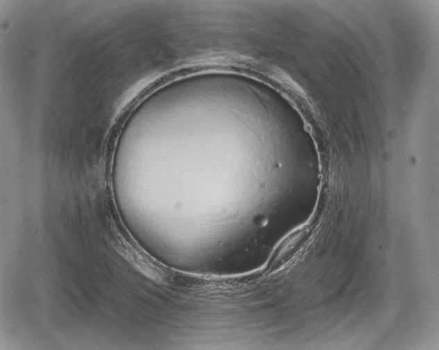 X0000067871216200604171216