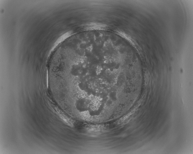 X0000067871219200604171216