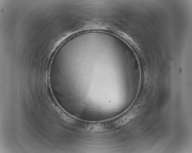 X0000067871220200604171216