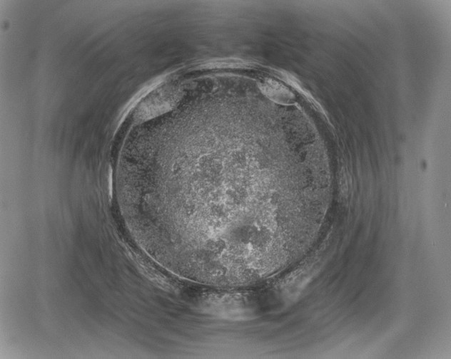 X0000067871221200604171216