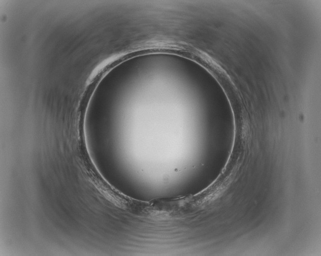 X0000067871222200604171216