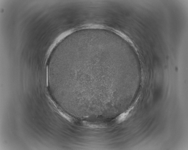 X0000067871223200604171216