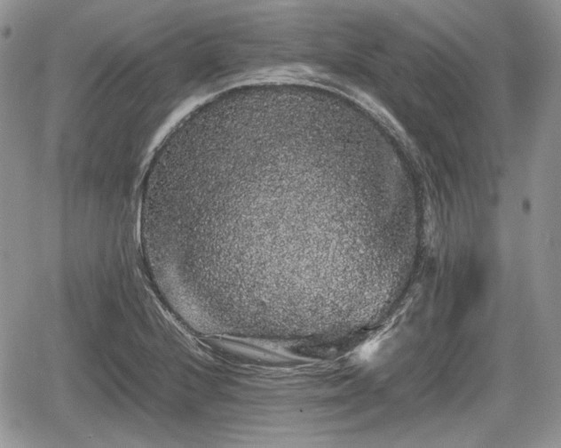 X0000067871224200604171216