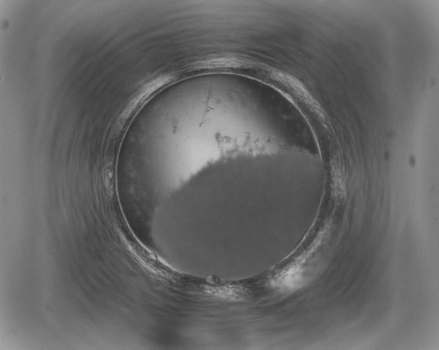 X0000067871225200604171216